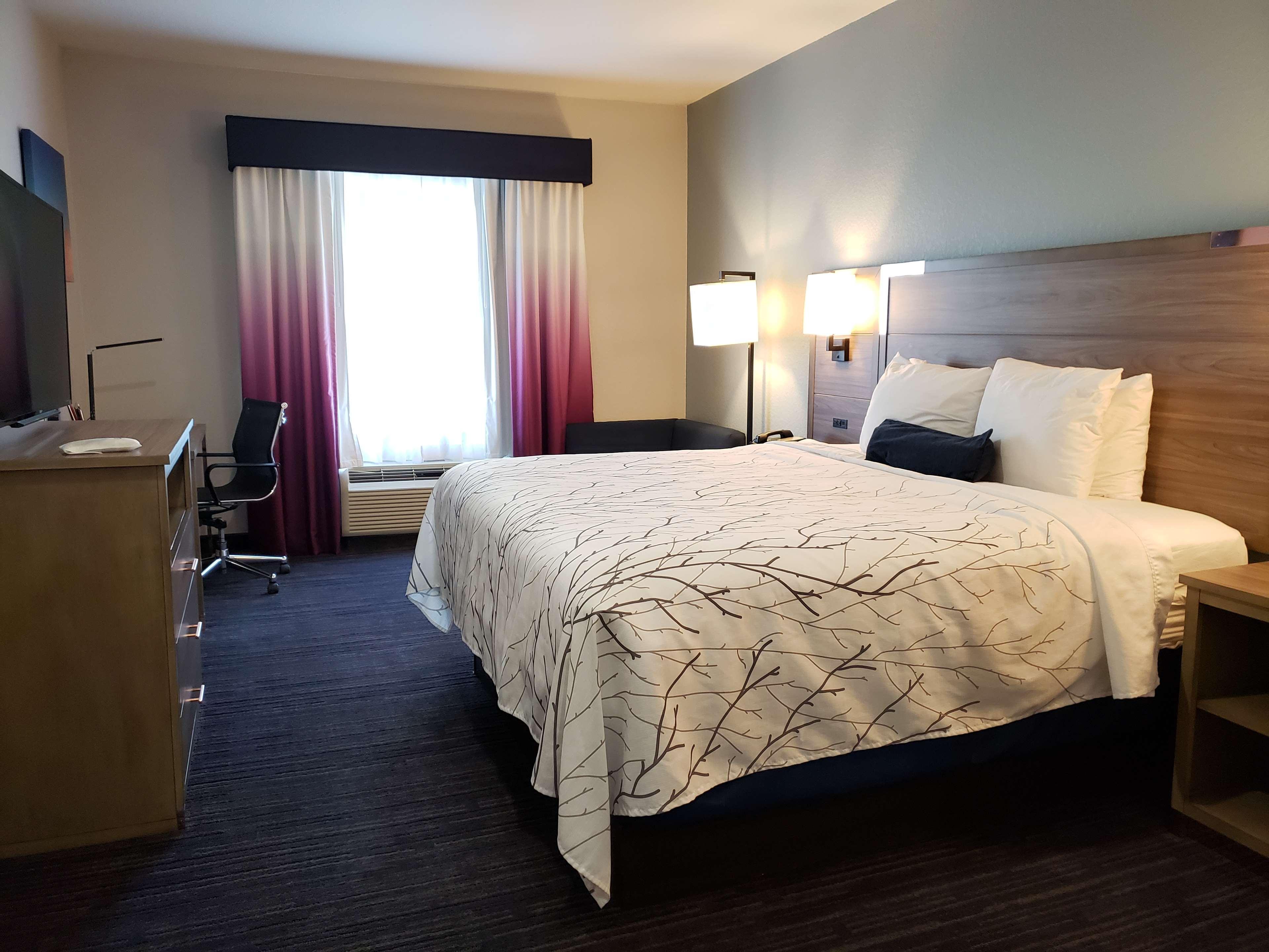 Best Western Plus San Antonio East Inn & Suites Экстерьер фото